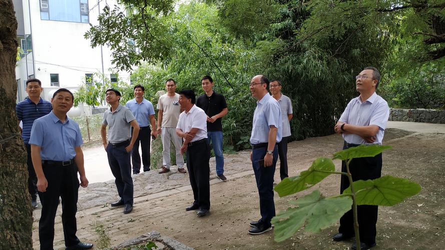 生态价值与监测同行 自然资源部调研组深入蒙阴县考察纪実