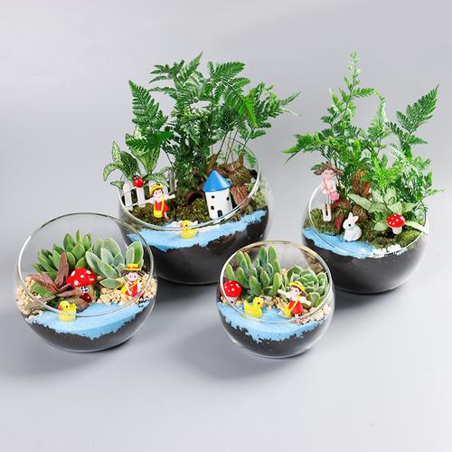 生态包与生态资源监测 构建可持续发展的智慧基石