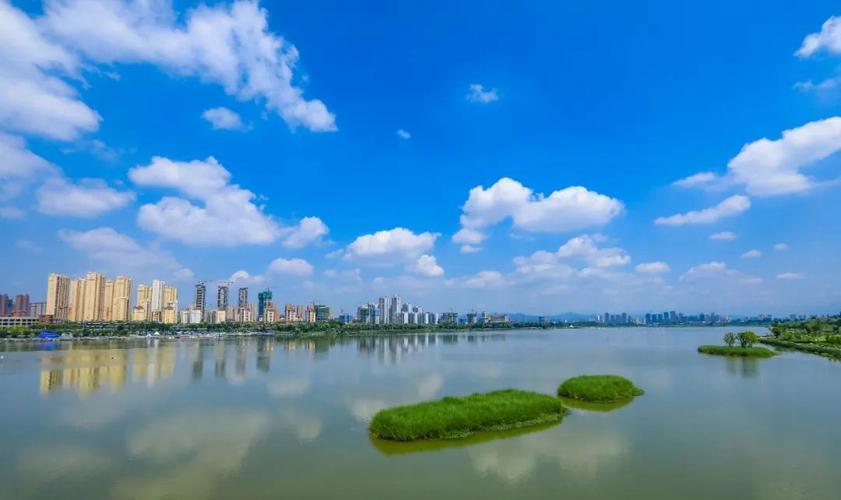 2023年度汉中市生态环境保护工作十大亮点中的生态资源监测篇章