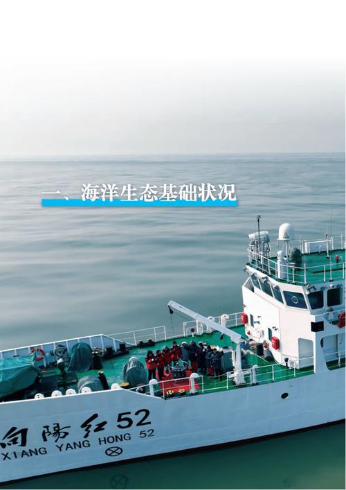 2024年北海区海洋生态预警监测公报 透视生态资源监测的新里程