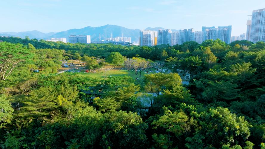 广东首个自然资源三维确权登记项目完成 推动生态产品价值实现与生态资源监测的UIS实践